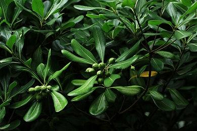 B社解决了《星空》新问题 重大更新将于明天上线