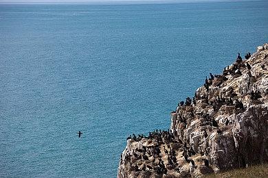 Switch版《心灵杀手：复刻版》突然正式上市